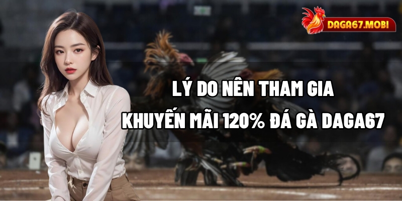 Lý do nên tham gia khuyến mãi 120% đá gà DAGA67